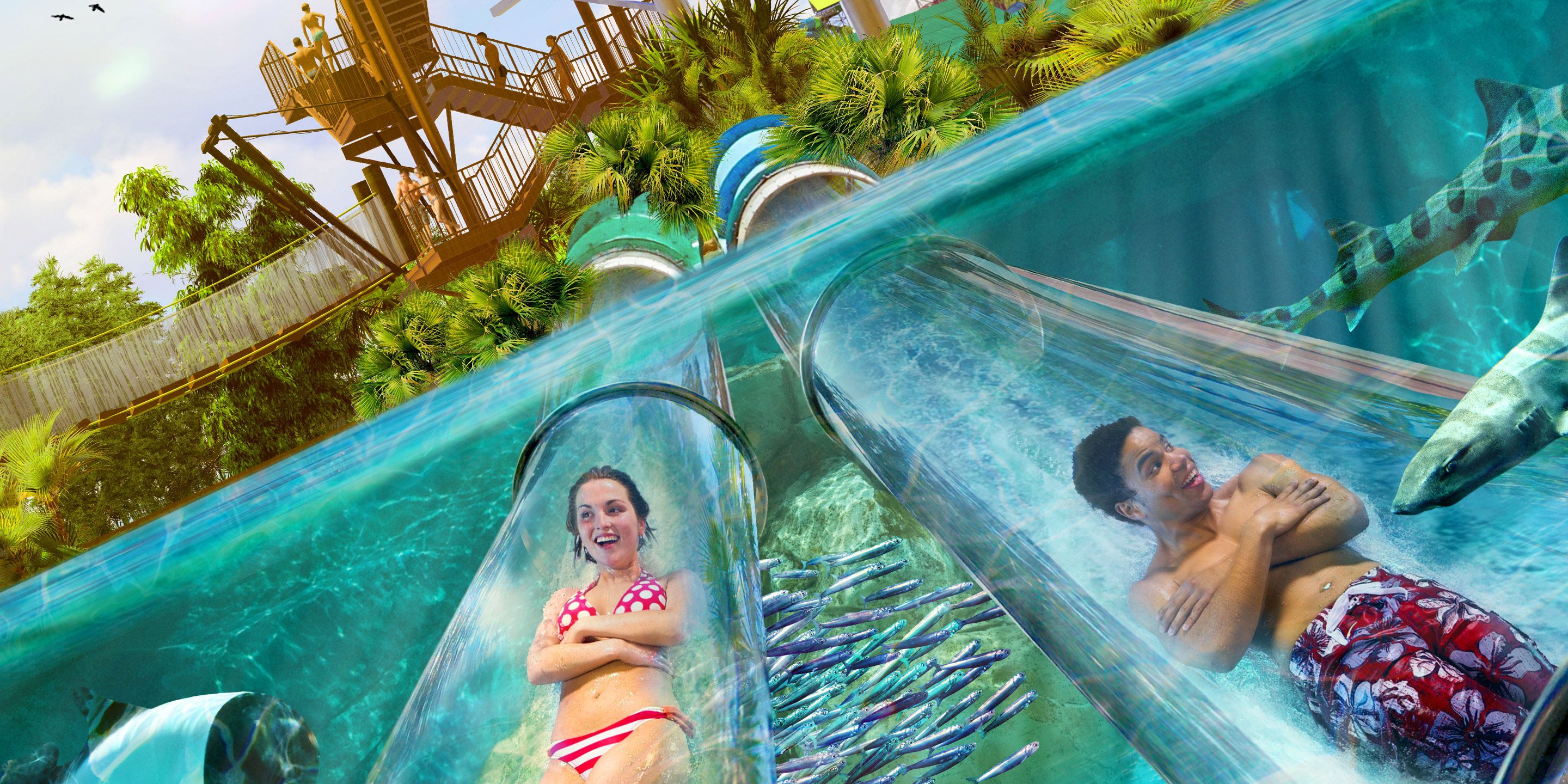 Two people sliding through two submerged water slides surrounded by sharks and fish