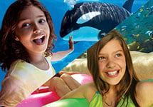 Enjoy a 2 park vacation package to both SeaWorld and Aquatica