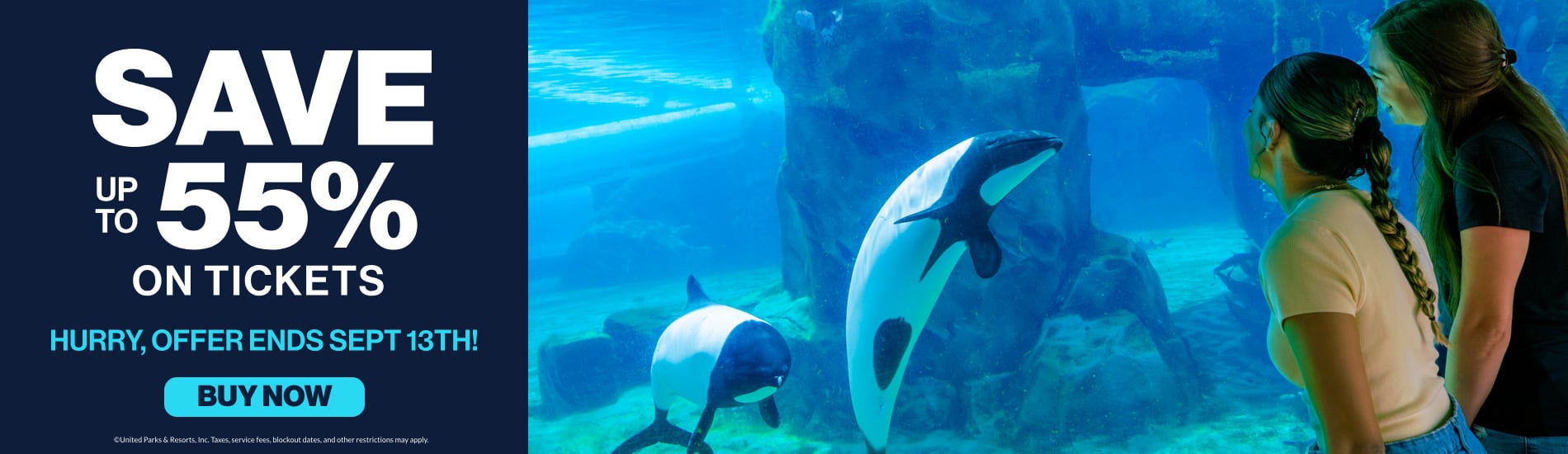 save up to 55% on tickets