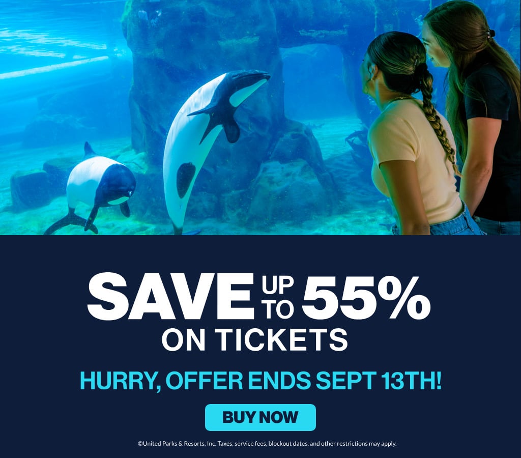 save up to 55% on tickets