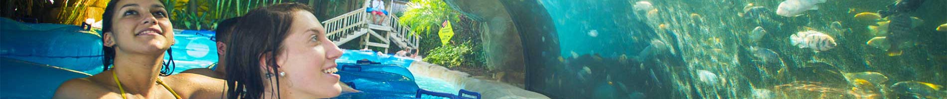 Fish grotto at Aquatica Orlando