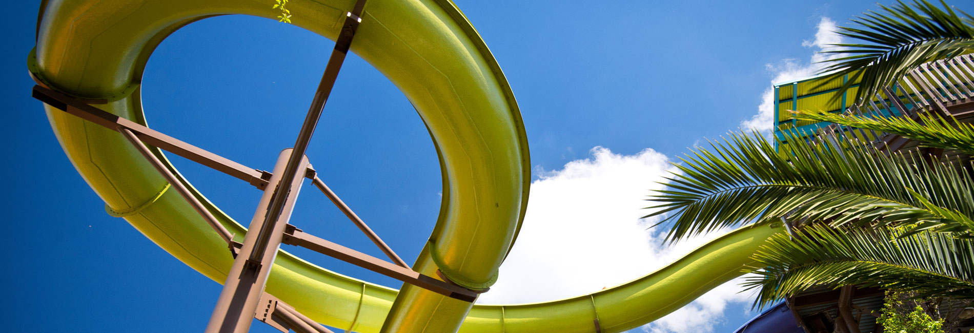 Kiwi Curl at Aquatica San Antonio