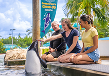 Aquatica APO