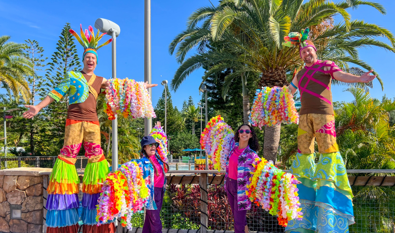 Aloha to Summer