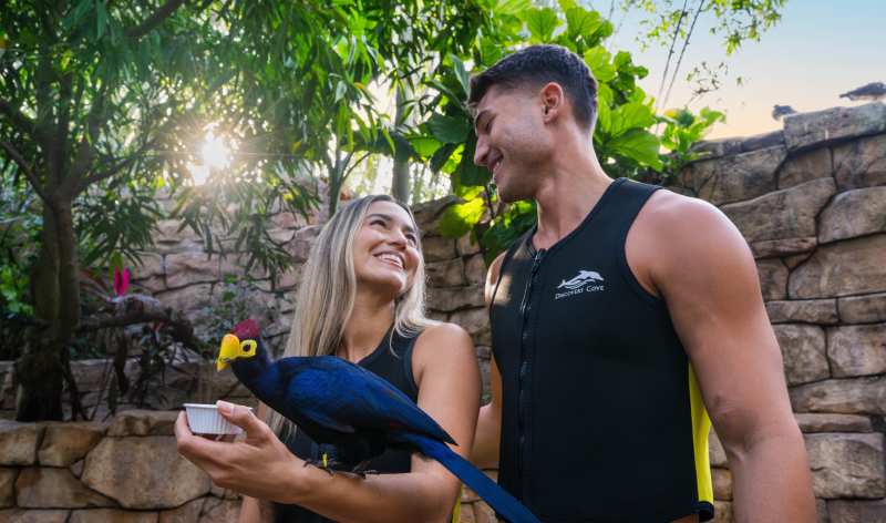Two people in the Discovery Cove aviary