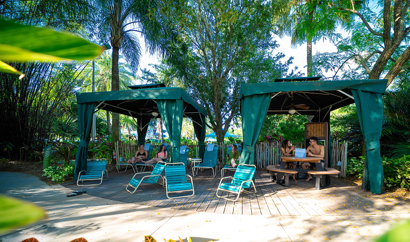 Aquatica