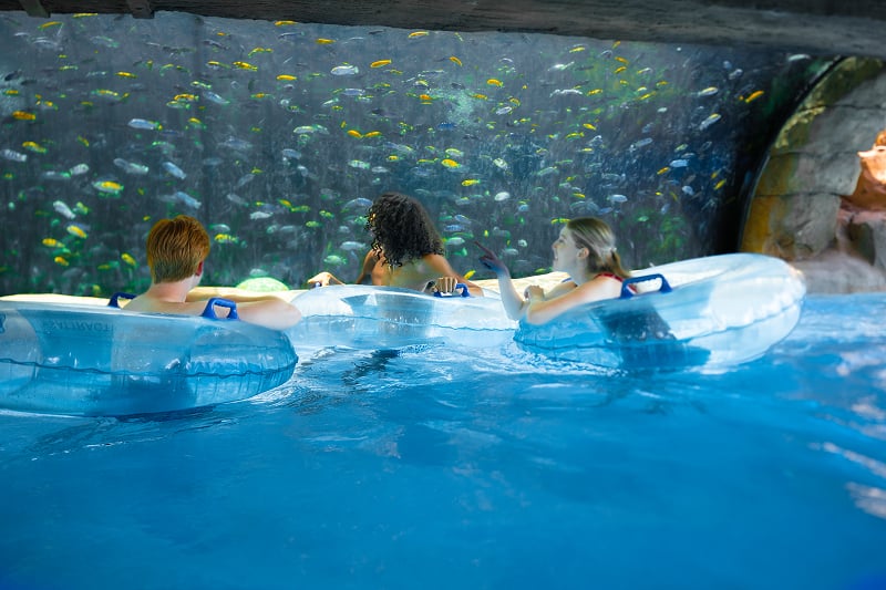 Aquatica