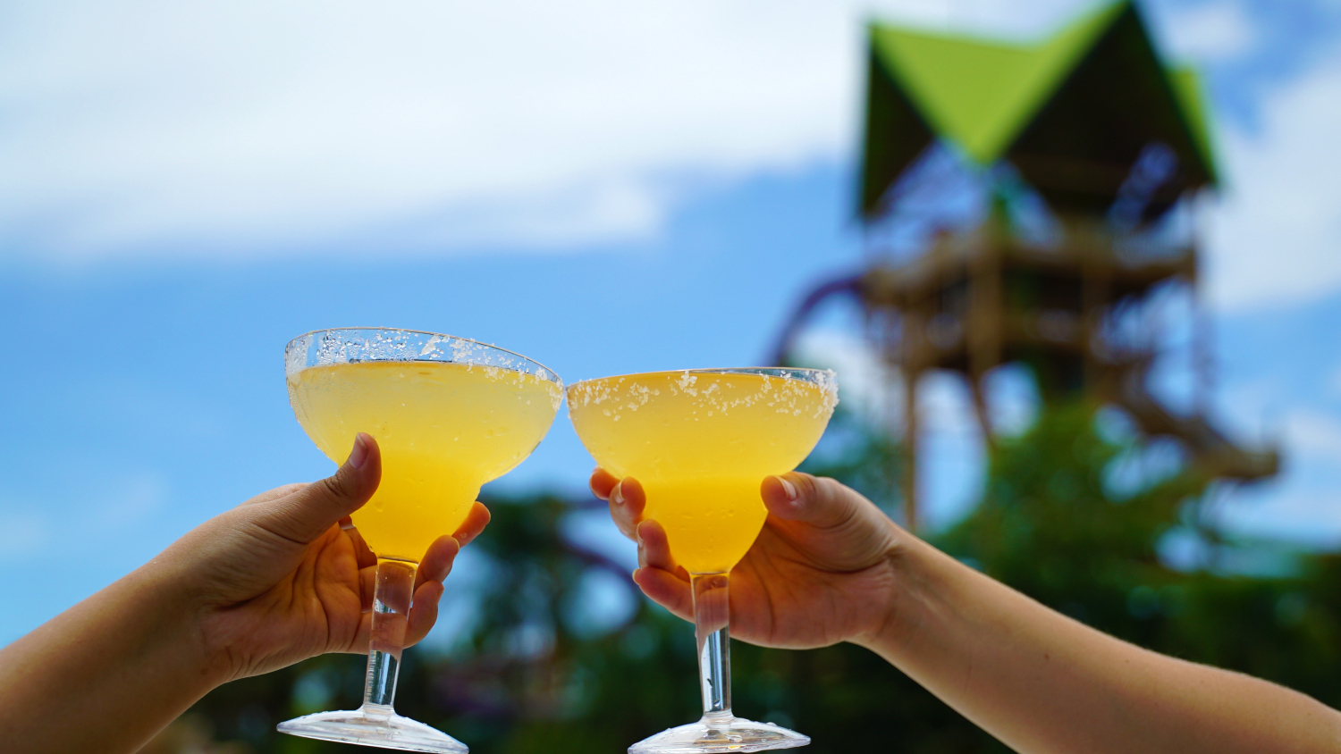 Aquatica Orlando Aloha to Summer Cheers
