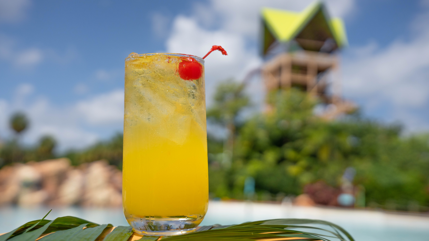 Aquatica Orlando Aloha to Summer Drink