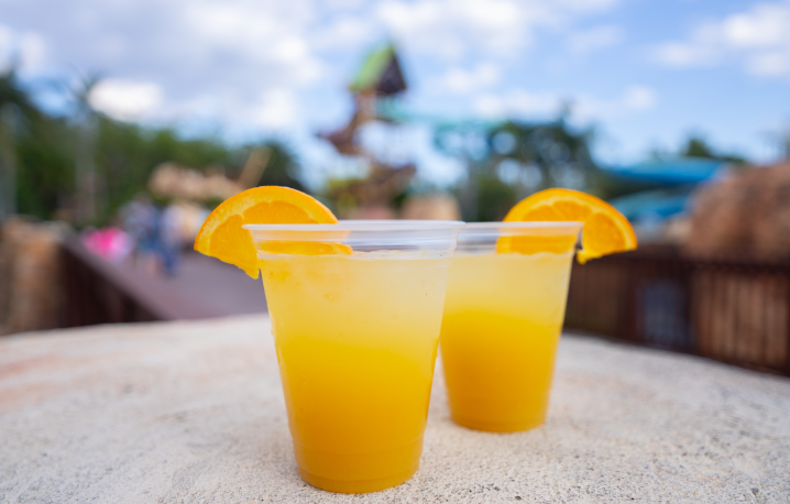 Two orange cocktails