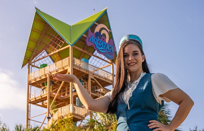 Beach nights entertainment