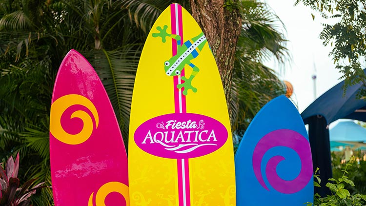 Fiesta Aquatica surf boards