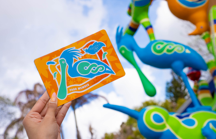 Colorful Aquatica magnet