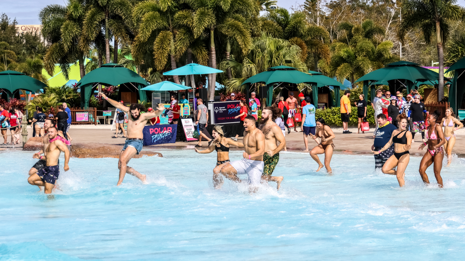 Polar Plunge at Aquatica Orlando