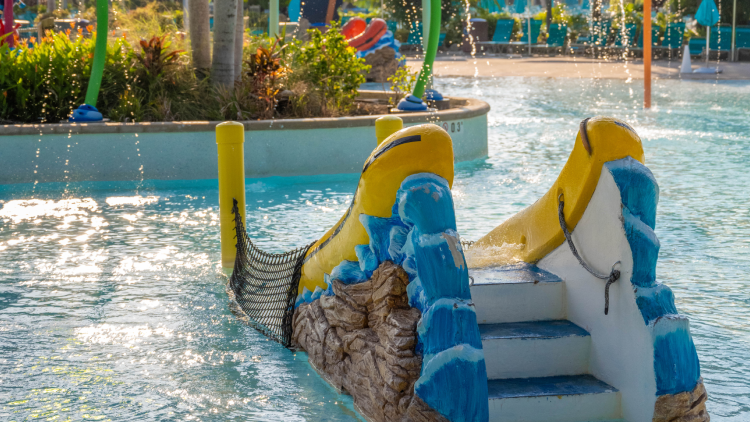 Turi's Kid Cove