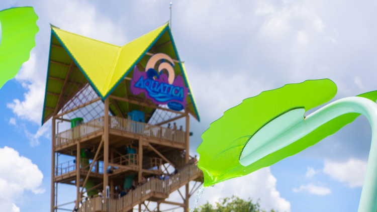 Turi's Kid Cove