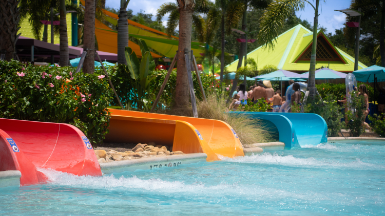 Turi's Kid Cove