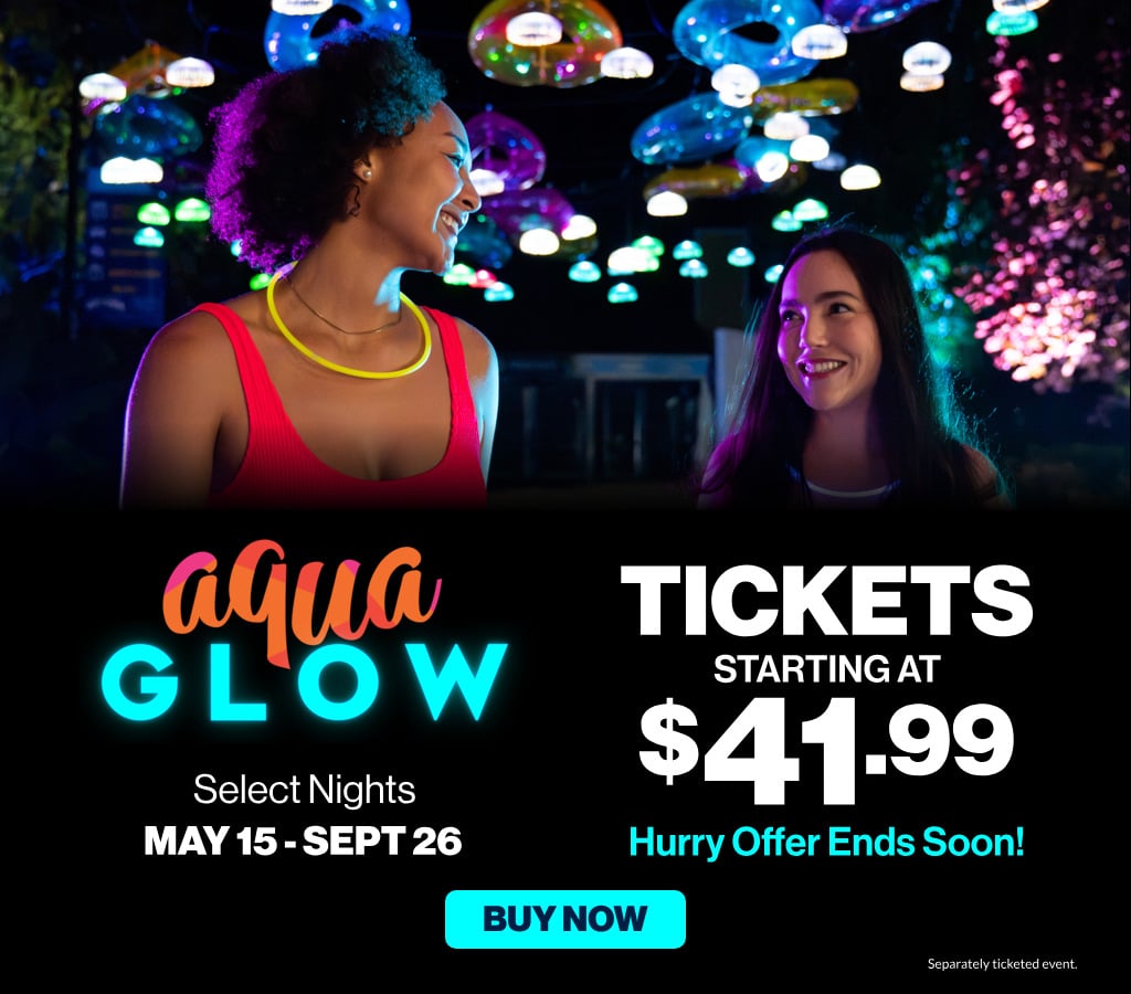 AquaGlow Tickets Starting at $41.99