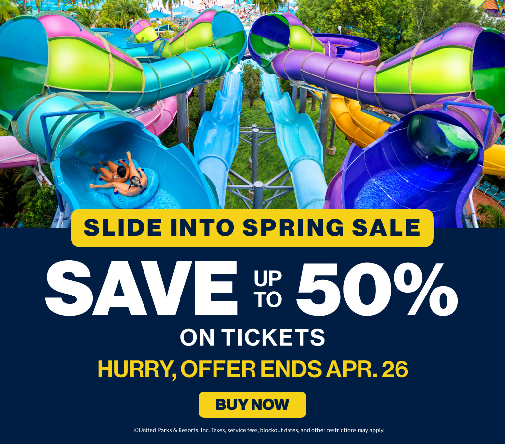 Slide Into Spring