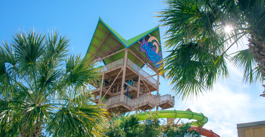 Waterslide at Aquatica Orlando