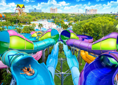 Vote for Aquatica Orlando