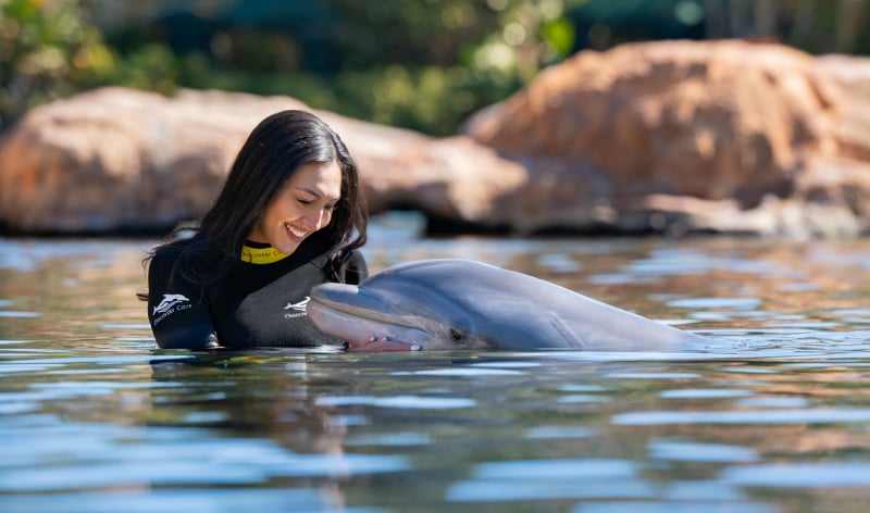 Woman in the water with a dolphin