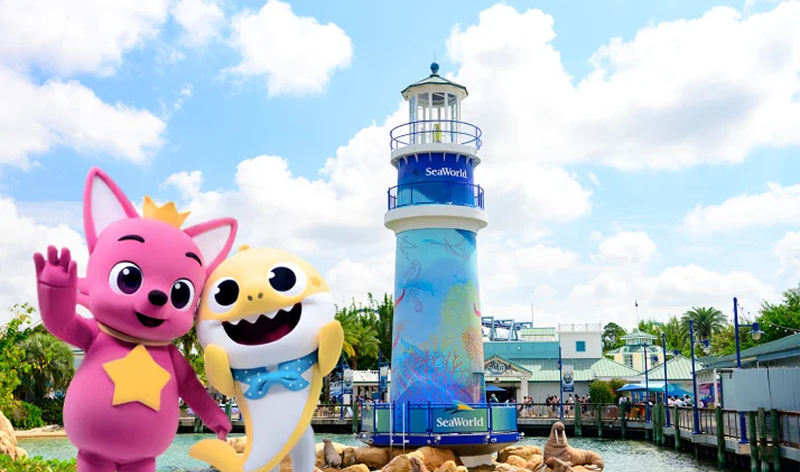 SWO July Blog photo roller coaster