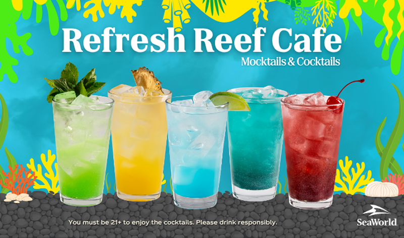 SWO July Blog photo refresh cafe