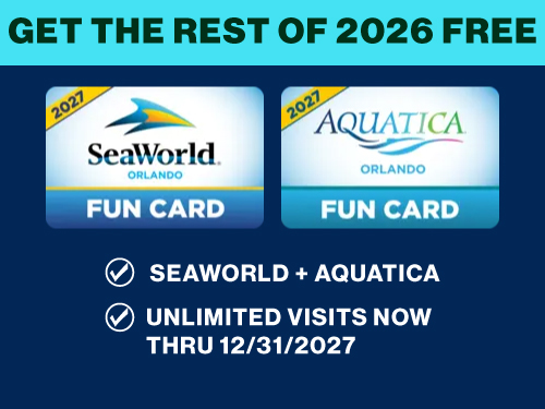 2027 Fun Cards