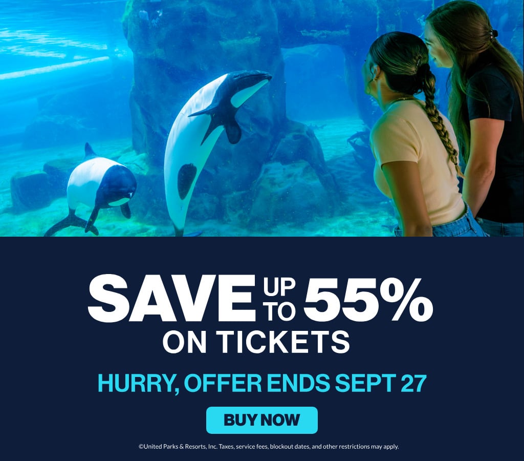 Save up to 55% on tickets