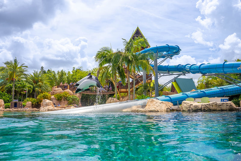 Aquatica