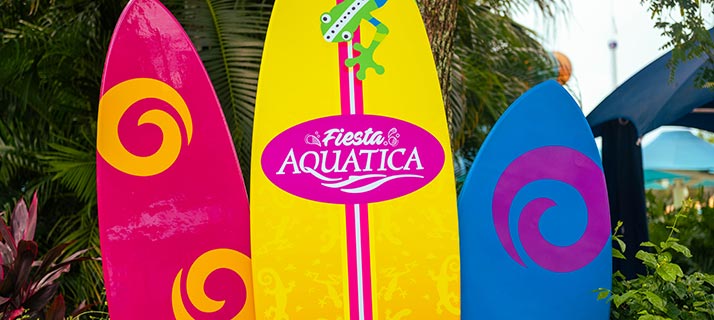Fiesta Aquatica Surfboards