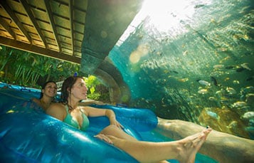 Float down the relaxing Loggerhead Lane, and even get a peek into the fish grotto at Aquatica.