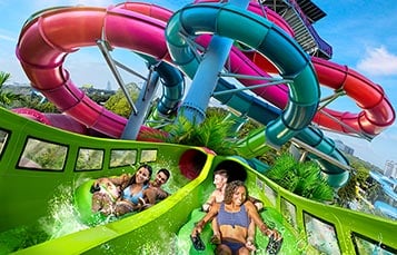 Riptide Race at Aquatica Orlando