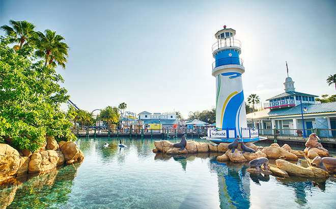 Summer Deals at SeaWorld Orlando