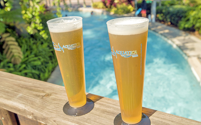 Celebrate Beer Day at Aquatica Orlando