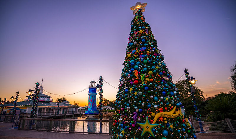 Christmas tree at SeaWorld Orlando