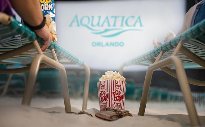 Beach Movie Nights at Aquatica Orlando