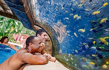 Fish Grotto at Aquatica Orlando