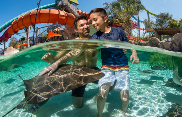 Aquatica Texas