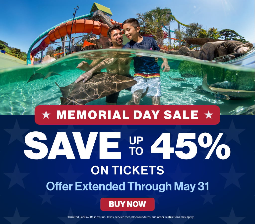 Save up to 45% on Tickets