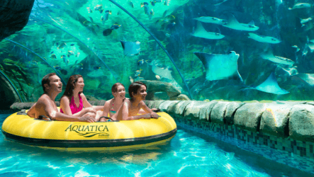 Family riding the Stingray at Aquatica San Antonio