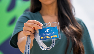 Redeem Pass Benefits