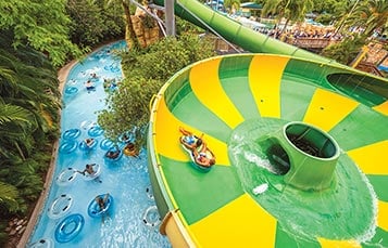Water slide at Aquatica Orlando